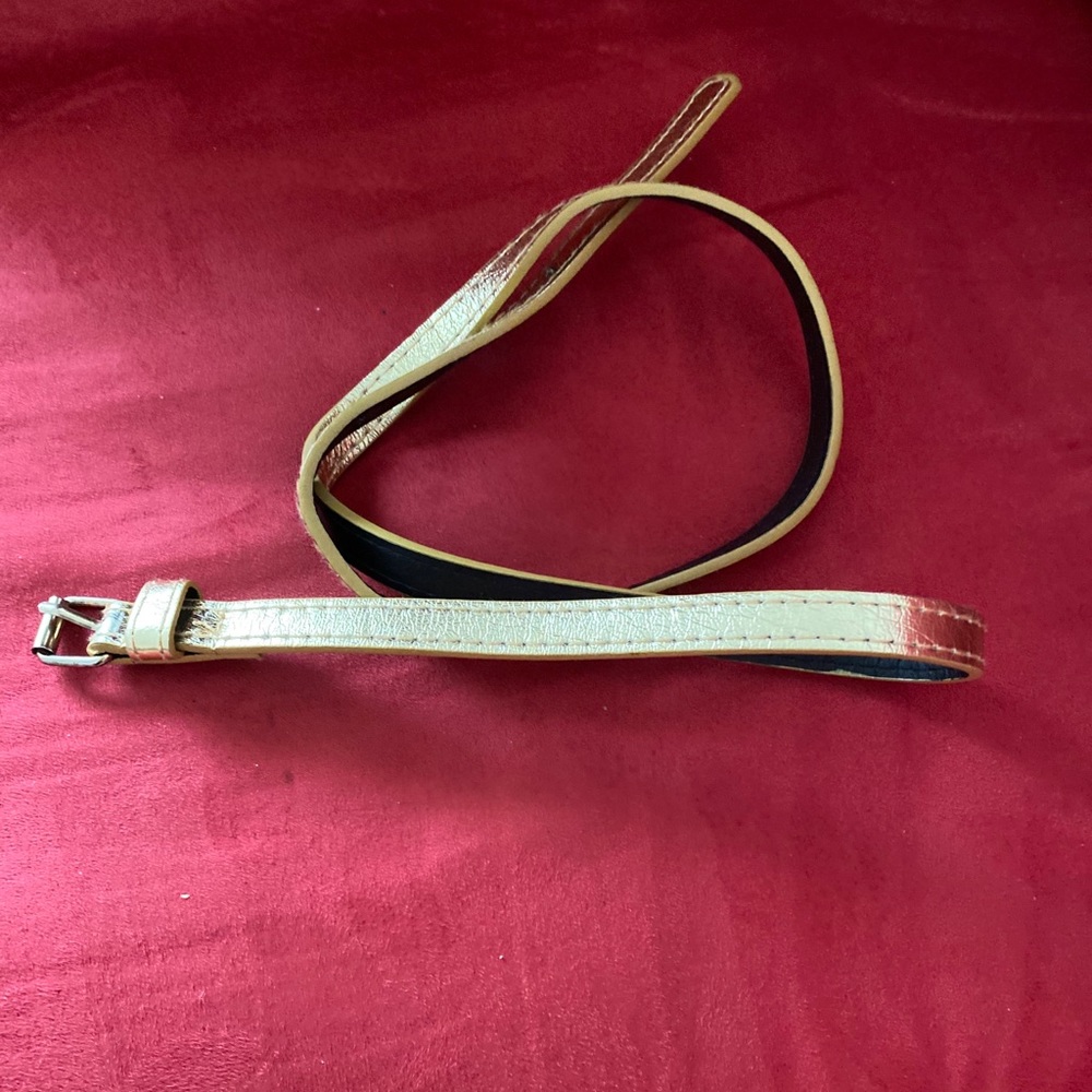 Gold belt